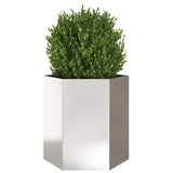 Garden Planter Hexagon 46x40x45 cm Stainless Steel