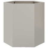 Garden Planter Hexagon 46x40x45 cm Stainless Steel