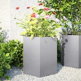 Garden Planter 2 pcs Hexagon 46x40x45 cm Galvanized Steel