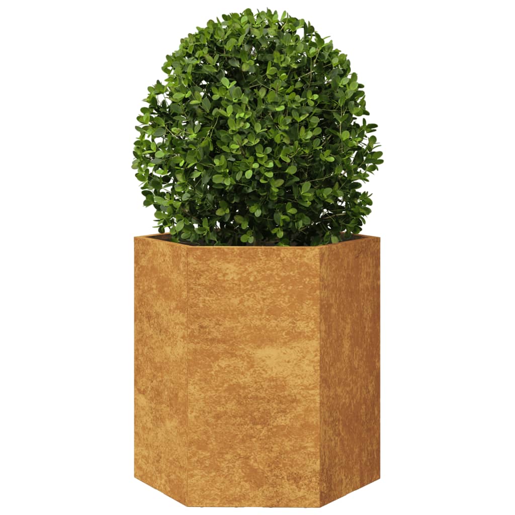 Garden Planter Hexagon 46x40x45 cm Weathering Steel
