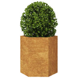 Garden Planter Hexagon 46x40x45 cm Weathering Steel