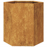 Garden Planter Hexagon 46x40x45 cm Weathering Steel