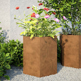 Garden Planter Hexagon 46x40x45 cm Weathering Steel