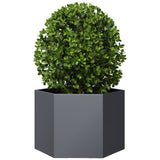 Garden Planter Anthracite Hexagon 69x60x45 cm Steel