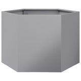 Garden Planter Hexagon 69x60x45 cm Galvanized Steel