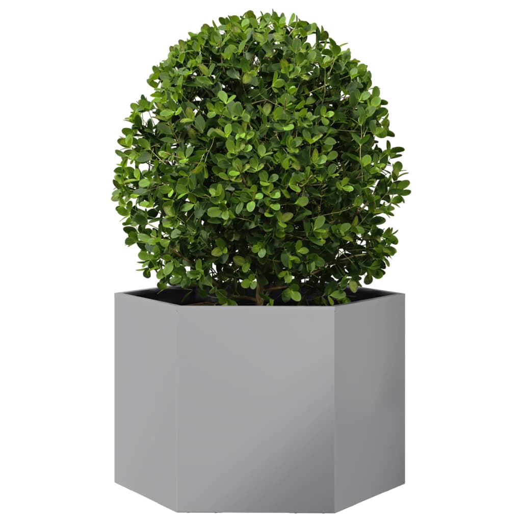 Garden Planter Hexagon 69x60x45 cm Galvanized Steel