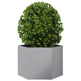 Garden Planter Hexagon 69x60x45 cm Galvanized Steel