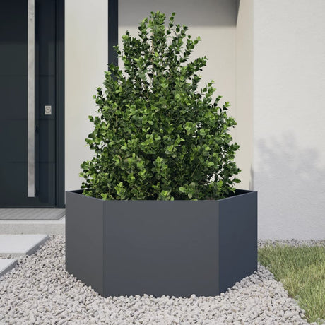 Garden Planter Anthracite Hexagon 104x90x45 cm Steel