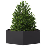 Garden Planter Black Hexagon 138x120x45 cm Steel