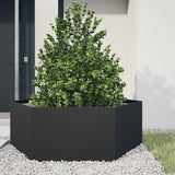 Garden Planter Black Hexagon 138x120x45 cm Steel