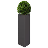 Garden Planter Black Triangular 30x26x75 cm Steel