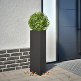 Garden Planter Black Triangular 30x26x75 cm Steel