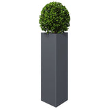 Garden Planter Anthracite Triangular 30x26x75 cm Steel