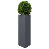 Garden Planters 2 pcs Anthracite Triangular 30x26x75 cm Steel