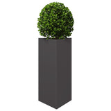 Garden Planter Black Triangular 40x34.5x70 cm Steel