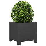 Garden Planter Black 30x30x30 cm Steel