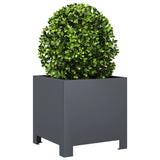 Garden Planter Anthracite 30x30x30 cm Steel