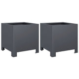 Garden Planters 2 pcs Anthracite 30x30x30 cm Steel