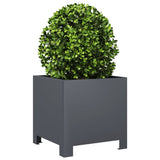 Garden Planters 2 pcs Anthracite 30x30x30 cm Steel