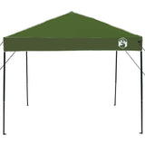 Pop-up Canopy Tent Green 250 x 250 cm Fabric