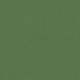 Pop-up Canopy Tent Green 250 x 250 cm Fabric