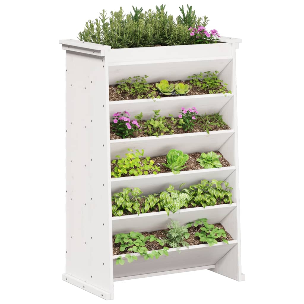 Herb Planter 6-Tier White 69x40x101.5 cm Solid Wood Pine