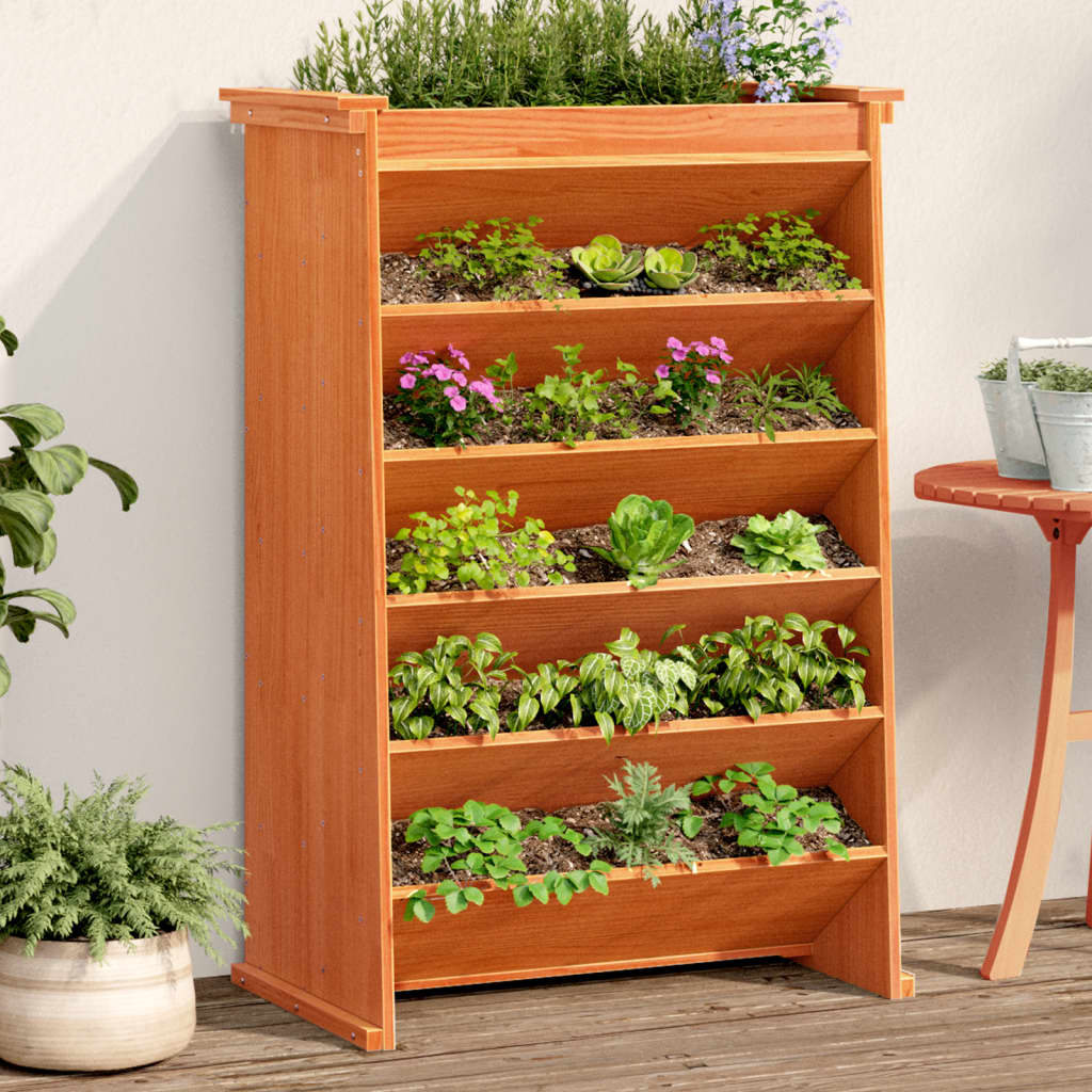 Herb Planter 6-Tier Wax Brown 69x40x101.5 cm Solid Wood Pine