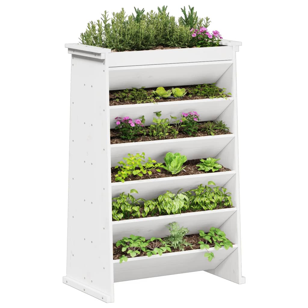 Herb Planter 6-Tier White 69x40x101.5 cm Solid Wood Pine