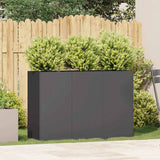 Planter Black 120x40x80 cm Cold-rolled Steel