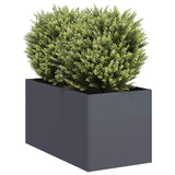 Planter Anthracite 40x80x40 cm Cold-rolled Steel