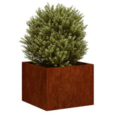 Planter Rusty 40x40x30 cm Weathering Steel