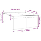 Retractable Awning Blue and white 300 x 250 cm Fabric