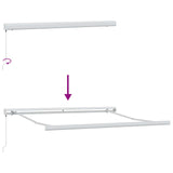 Retractable Awning Light Grey 300 x 250 cm Fabric and Metal
