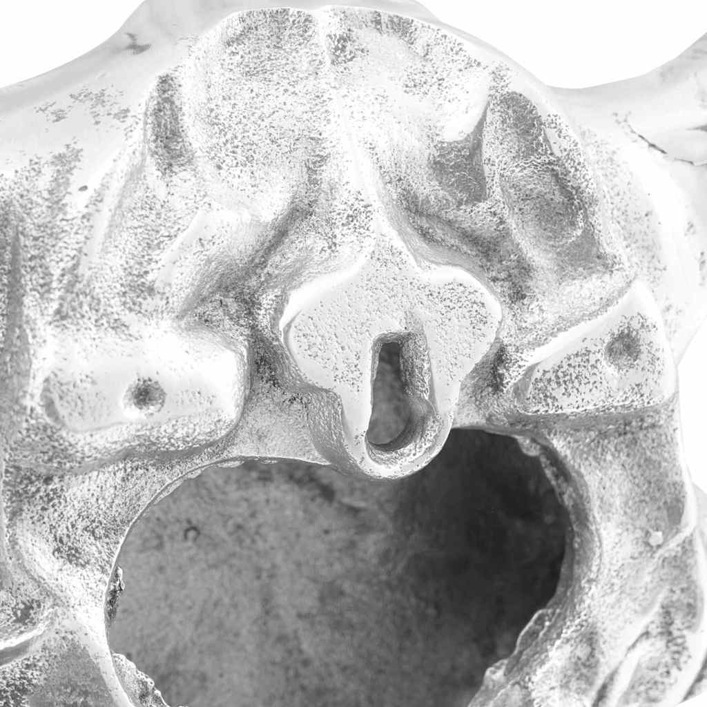 Bull Skull Silver 53 x 11 x 40 cm Aluminium