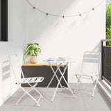 Garden Folding Chair Folding 2 pcs White 55 x 56.5 x 91cm Steel
