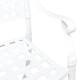 Garden Chair 2 pcs White 55 x 56.5 x 91cm Aluminium