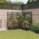 Garden Planter with Trellis 5 pcs Black 120 x 120 x 125.5 cm PP