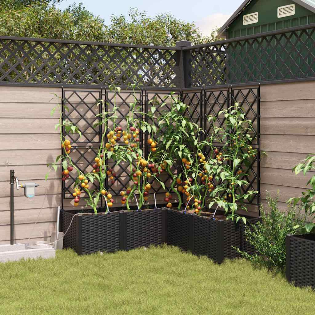 Garden Black 120 x 120 x 142 cm Steel