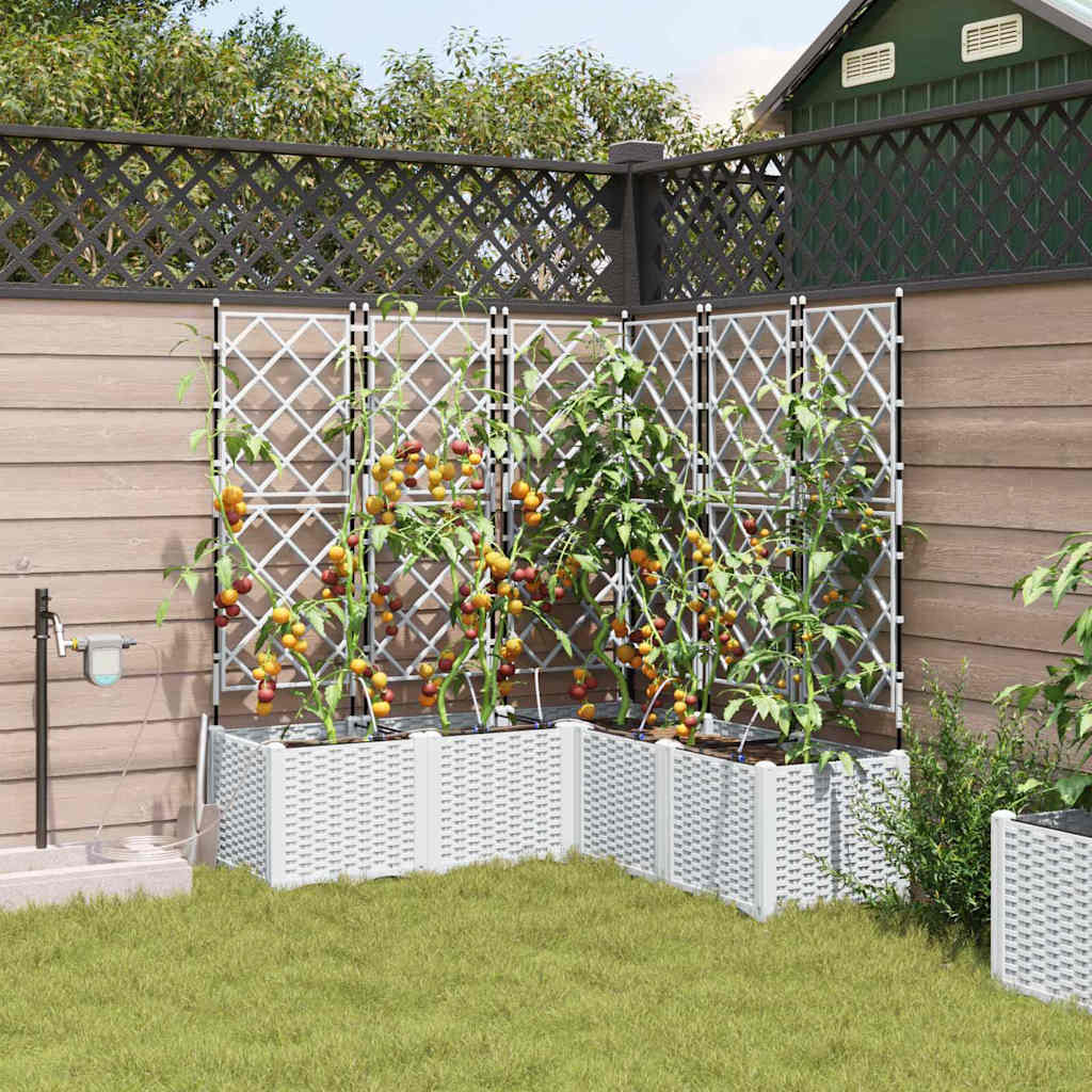 Garden White 120 x 120 x 142 cm Steel