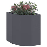 Corner Planter Anthracite 30 x 30 x 35 cm Steel