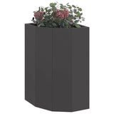 Corner Planter Black 30 x 30 x 50 cm Steel