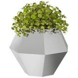 Planter 2 pcs Silver 50 x 50 x 40 cm Stainless Steel