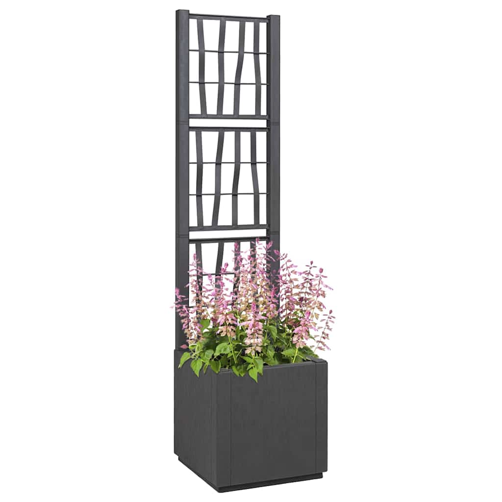 Garden Planter Anthracite 36 x 36 x 140 cm Polypropylene