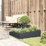 Garden Planter Anthracite 100 x 100 x 50 cm Steel