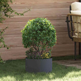 Garden Planters 5 pcs Anthracite 30 x 30 x 20 cm Steel
