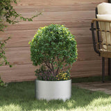 Garden Planters 5 pcs Silver 30 x 30 x 20 cm Galvanised steel