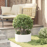 Garden Planters 5 pcs White 40 x 40 x 20 cm Steel