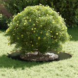 Flat Tree Ring Olive green Ø40 / 70 cm Steel