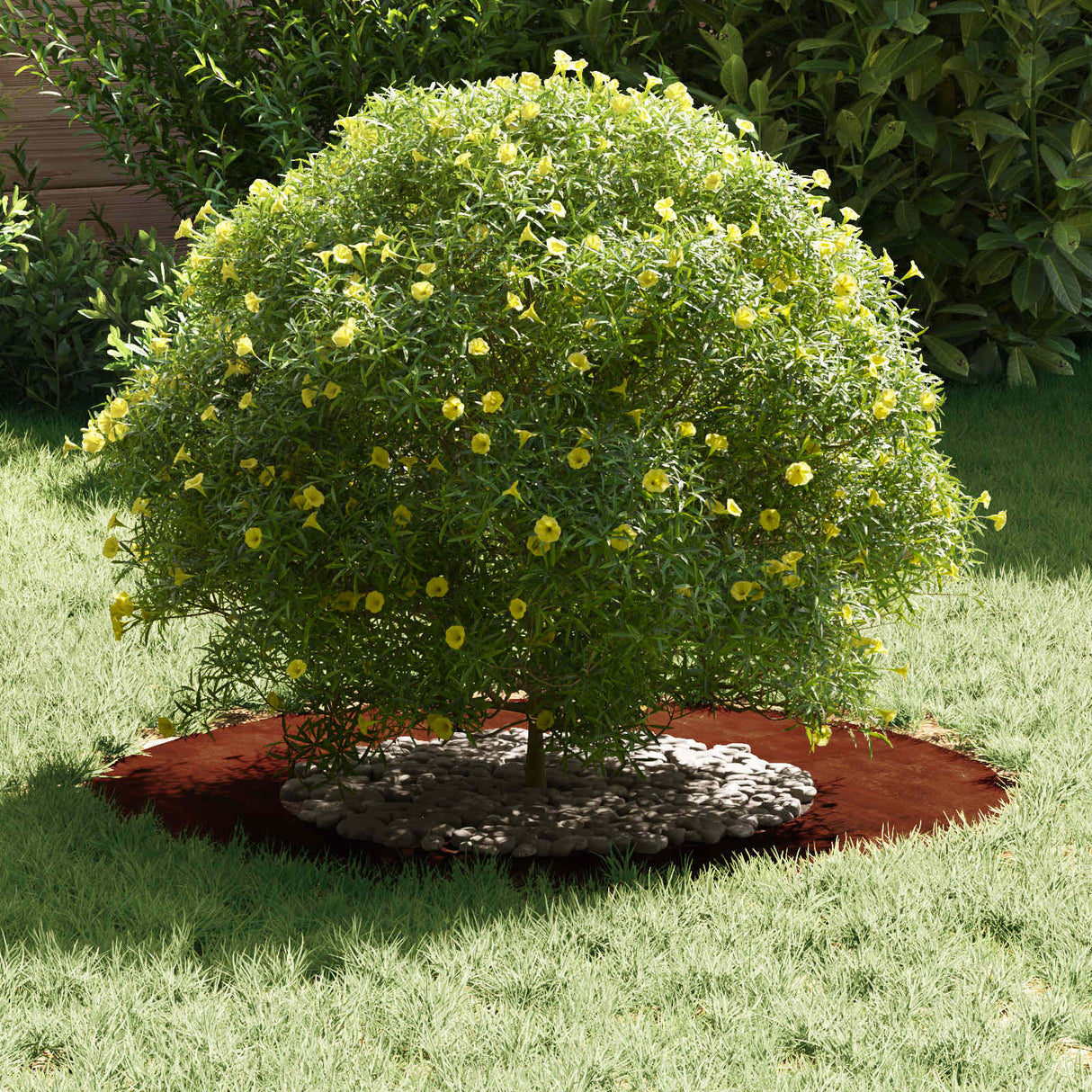 suitable for Flat Tree Rings 5 pcs Brown Ã˜40 / 70 cm