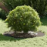 Flat Tree Ring Black Ø50 / 80 cm Steel